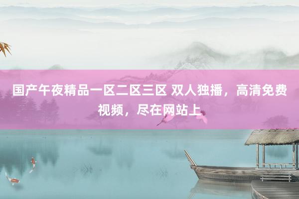 国产午夜精品一区二区三区 双人独播，高清免费视频，尽在网站上