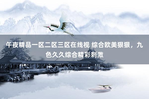 午夜精品一区二区三区在线视 综合欧美狠狠，九色久久综合精彩刺激