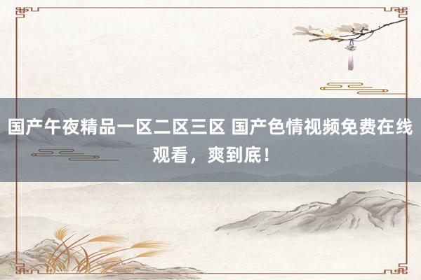 国产午夜精品一区二区三区 国产色情视频免费在线观看，爽到底！