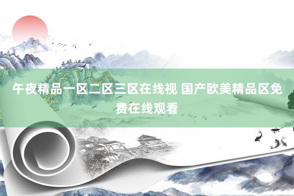 午夜精品一区二区三区在线视 国产欧美精品区免费在线观看