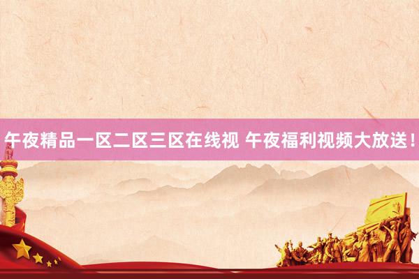 午夜精品一区二区三区在线视 午夜福利视频大放送！