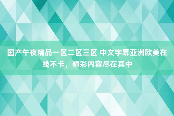 国产午夜精品一区二区三区 中文字幕亚洲欧美在线不卡，精彩内容尽在其中