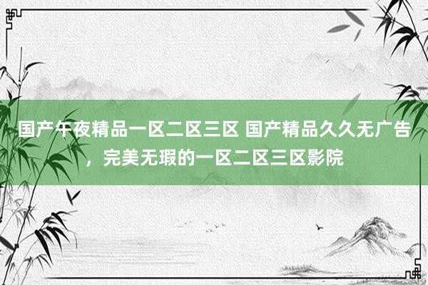 国产午夜精品一区二区三区 国产精品久久无广告，完美无瑕的一区二区三区影院