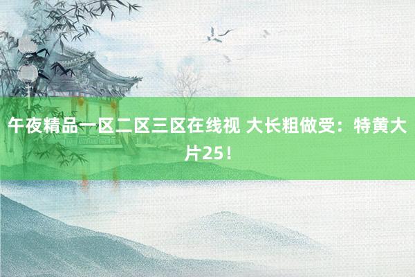 午夜精品一区二区三区在线视 大长粗做受：特黄大片25！