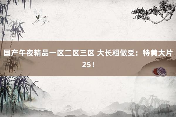 国产午夜精品一区二区三区 大长粗做受：特黄大片25！