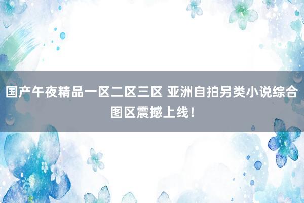 国产午夜精品一区二区三区 亚洲自拍另类小说综合图区震撼上线！