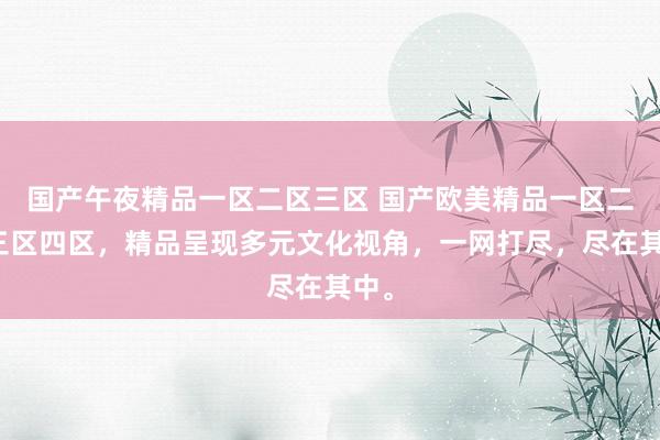 国产午夜精品一区二区三区 国产欧美精品一区二区三区四区，精品呈现多元文化视角，一网打尽，尽在其中。