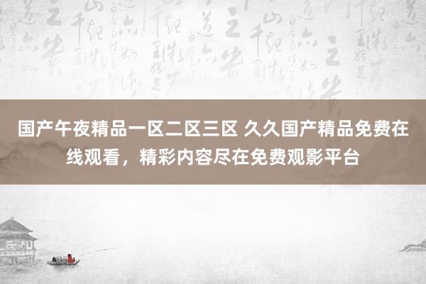 国产午夜精品一区二区三区 久久国产精品免费在线观看，精彩内容尽在免费观影平台