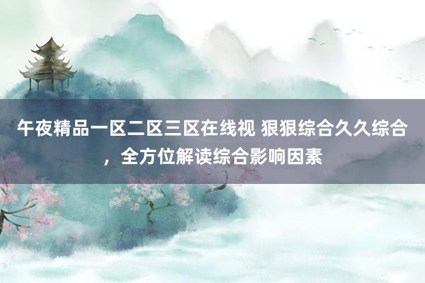 午夜精品一区二区三区在线视 狠狠综合久久综合，全方位解读综合影响因素