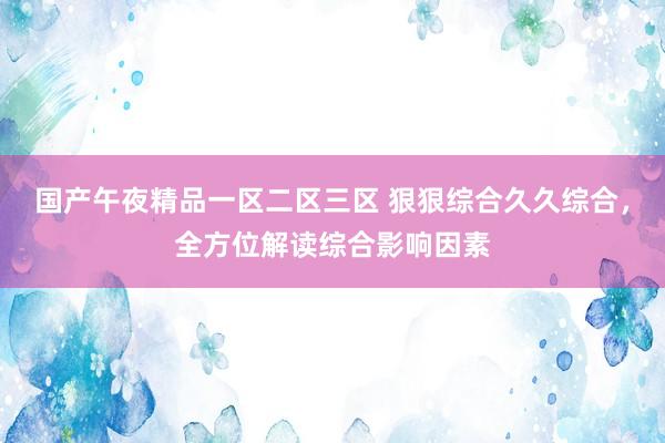 国产午夜精品一区二区三区 狠狠综合久久综合，全方位解读综合影响因素