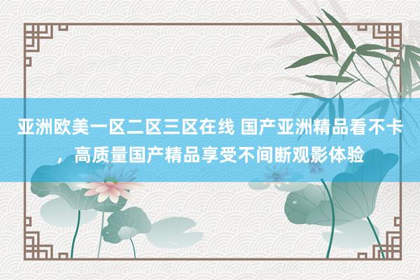 亚洲欧美一区二区三区在线 国产亚洲精品看不卡，高质量国产精品享受不间断观影体验